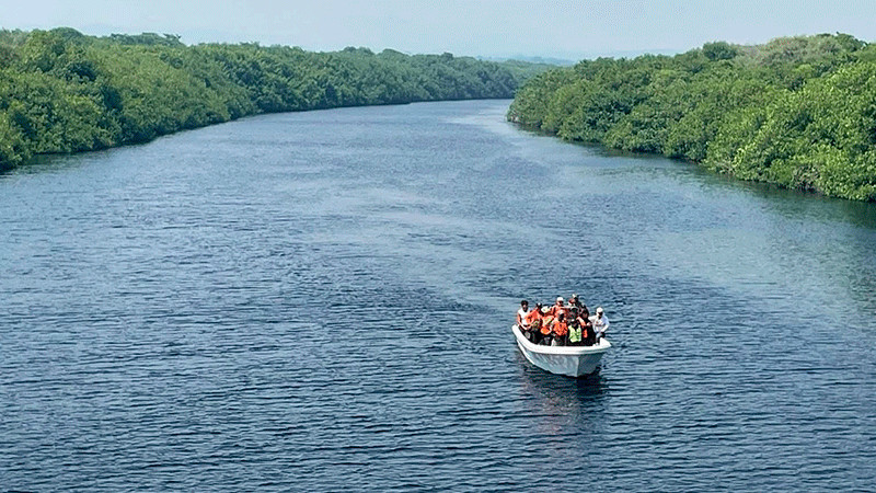 Sin rastro del menor arrastrado por cocodrilos en Lázaro Cárdenas