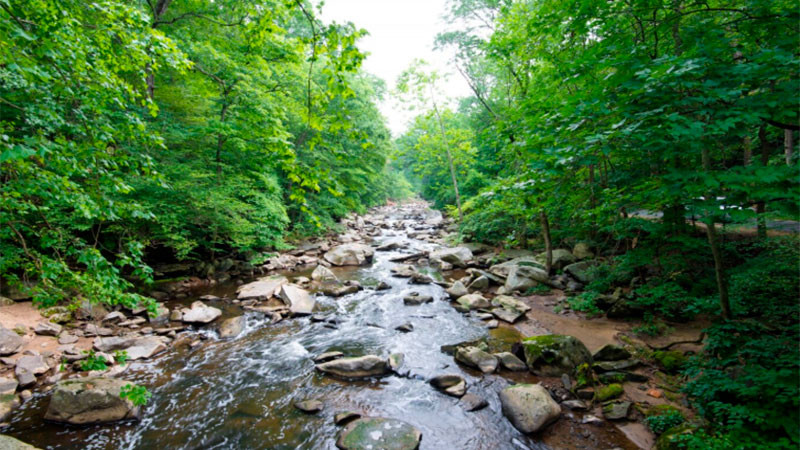 Lluvias intensas dejaron a 3 niños atrapados en Silao, Guanajuato
