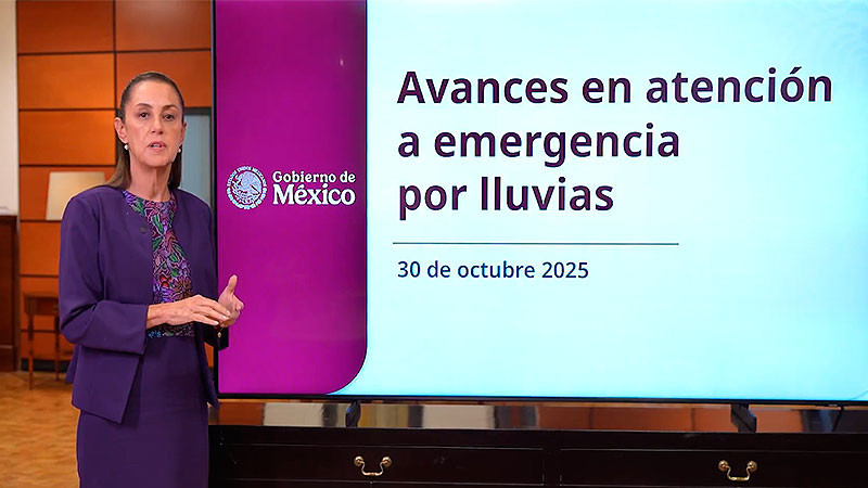 Se han entregado más de 90 mil apoyos económicos en zonas afectadas por lluvias: CSP