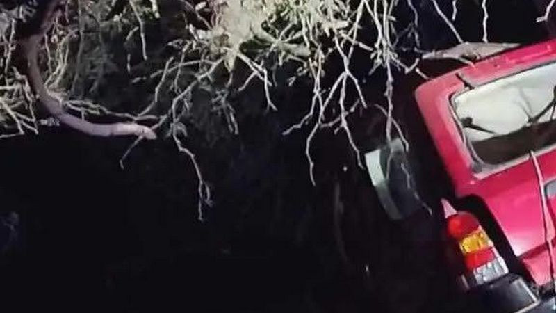 Tras volcar en vehículo particular mueren dos elementos de la Guardia Nacional y un agente de FSPE en Yuriria, Guanajuato