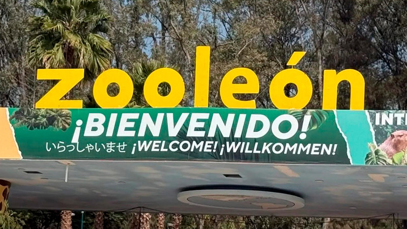 Ordenan cierre del Zooleón por presunto maltrato animal y omisiones administrativas